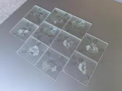 10枚組レトロ 昭和 ２mm厚さ型ガラス（柄：バラ×10枚）