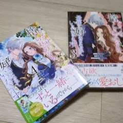 どうせ捨てられるのなら、最後に好きにさせていただきます 3、4