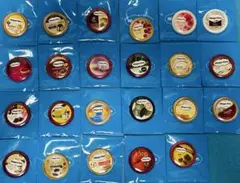 ハーゲンダッツ 40周年 缶バッジ 23個セット　 新品未使用品