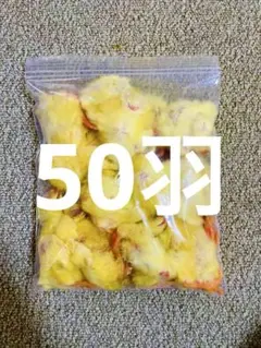 Item thumbnail for item 6b66632e-939e-466b-8c34-cdc5b292b30d