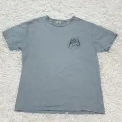TES エンドレスサマー　BUHI ブヒ　Tシャツ　Lサイズ