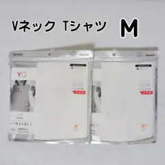 Item thumbnail for item a1aa17e3-b0c8-4ad6-abab-50ae5c2077b7