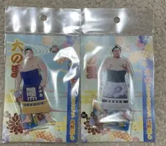 【完売終了】大相撲　大の里　アクリルスタンド　セット