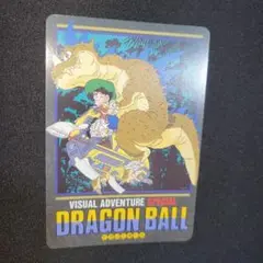 ドラゴンボール ビジュアルアドベンチャーカードスペシャル 19 孫悟飯