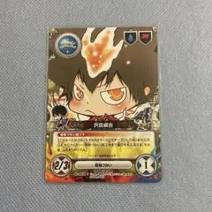 家庭教師ヒットマンREBORN CCG 沢田綱吉 094
