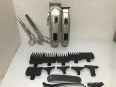 Item thumbnail for item 5b968a36-4c48-4da2-a14c-128d030f182e