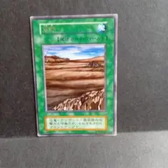 荒野