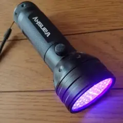ブルーライト 電灯