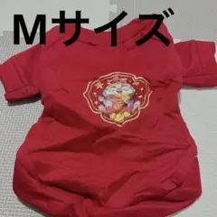 Item thumbnail for item 846d14d5-4976-4c95-8bae-dc94275c353c