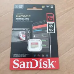 SanDisk Extreme 256GB microSDカード