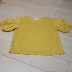 Item thumbnail for item 63a92535-bcff-4ad8-8442-7a56e7e3677f