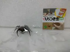 カプセルQミュージアム　ひっつき虫図鑑　アダンソンハエトリグモ　新品