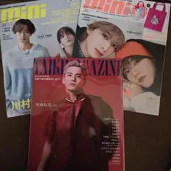 Item thumbnail for item a1067282-e042-4cae-a045-98bed179351b