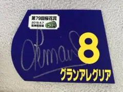 JRA グランアレグリア ミニゼッケン