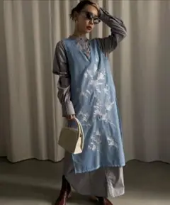 AMERI ADALEE EMBROIDERY MESH DRESS