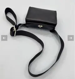 Item thumbnail for item 677f92e8-9897-4931-a094-ec3a9f0c580c