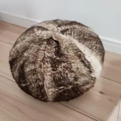 Item thumbnail for item 753744fe-868f-4041-a425-a6bfc825cd9b