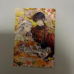 猫かぶりのお姫様 1 特典　メロンブックス