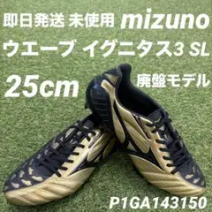 【即日発送 未使用 廃盤品】mizuno ウエーブイグニタス3 SL 25cm