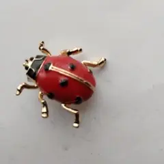 テントウムシ ブローチ 赤と黒