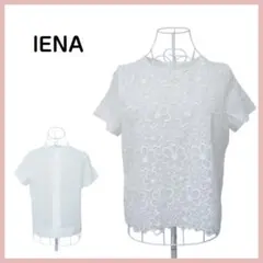 Item thumbnail for item 2d052c94-6070-44a0-8f6c-bac1f7fcfcd7