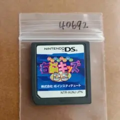 右脳キッズDS 神林式脳力開発法