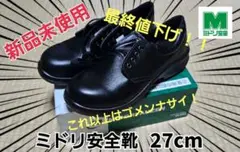 Item thumbnail for item 28b02fb3-4a08-43f0-9d4d-3bbf1771397e