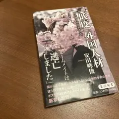 「低度」外国人材 移民焼き畑国家、日本