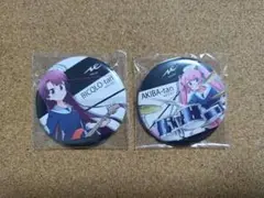 ビッカメ娘 radiusコラボ缶バッジ 2個