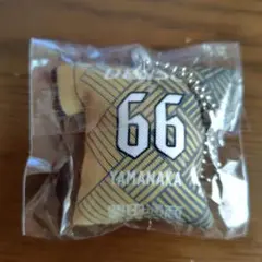 グランパス 66山中