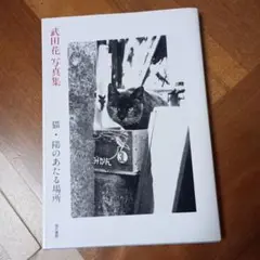 武田花写真集 猫 陽のあたる場所