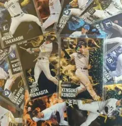 Item thumbnail for item ea6fbf25-f0f4-4e5e-8b95-ddb943adfe76