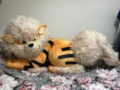 ほぼ新品箱開封済み　袋あり添い寝ウインディ　ぬいぐるみ　ウィンディー ぬいぐるみ 添い寝ウインディ」がポケモンセンターオンラインで