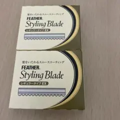 フェザー スタイリングブレード 2個