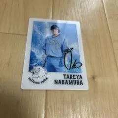 埼玉西武ライオンズ 中村剛也 選手