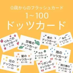 0歳からのドッツカード　フラッシュカード　ドッツカード　数字カード