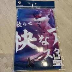 FIGHTERS 応援歌　タオル　アリエル　マルティネス