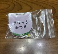 WIND BREAKER ナンジャタウン 桐生三輝 ネームバッジ