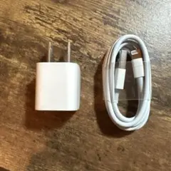 【Apple 純正品】type-Aアダプタ・ケーブル