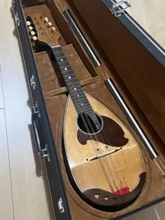 カラーチェ　ギター　calace ヴィンテージ　F100w カラーチェ ギター calace ヴィンテージ F100w - メルカリ