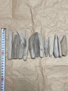 Item thumbnail for item 6cc1602e-8f34-4a1a-9e88-7278b98bfc88