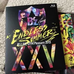 B'z/B'z LIVE-GYM Pleasure 2013 ENDLESS …
