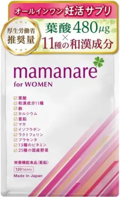 2個セット 葉酸 480μg【厚生労働省推奨量】 妊婦 妊娠 妊活 サプリ