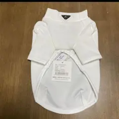 Item thumbnail for item efddf8c1-3c2a-41e4-8153-594a473b40a1