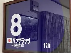 競馬 パンサラッサ 美品