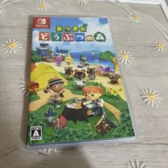 Switch あつまれ どうぶつの森