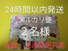 サンリオ ピューロランド ハーモニーランド チケット 株主優待 2枚 匿名配送