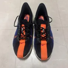 NIKE ペガサスプラス　30cm