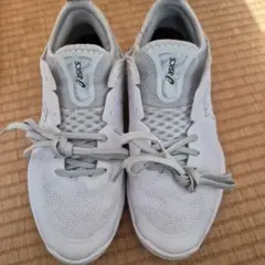 Item thumbnail for item 90dc6487-57a0-415b-be3f-c39df5e68aff