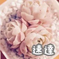 速達300円
